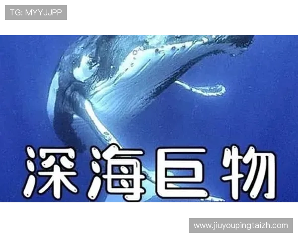 金鲨银鲨：探索深海中的奇异生物与海底生态系统的丰富多彩